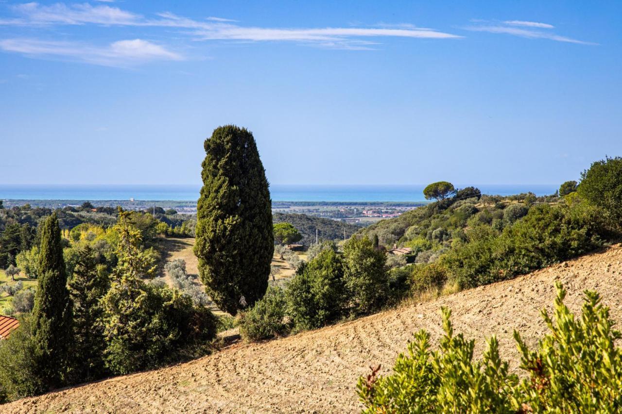 كاسال ماريتيمو Villa Cesarina Amazing Villa With Private Pool In The Tuscan Hills المظهر الخارجي الصورة