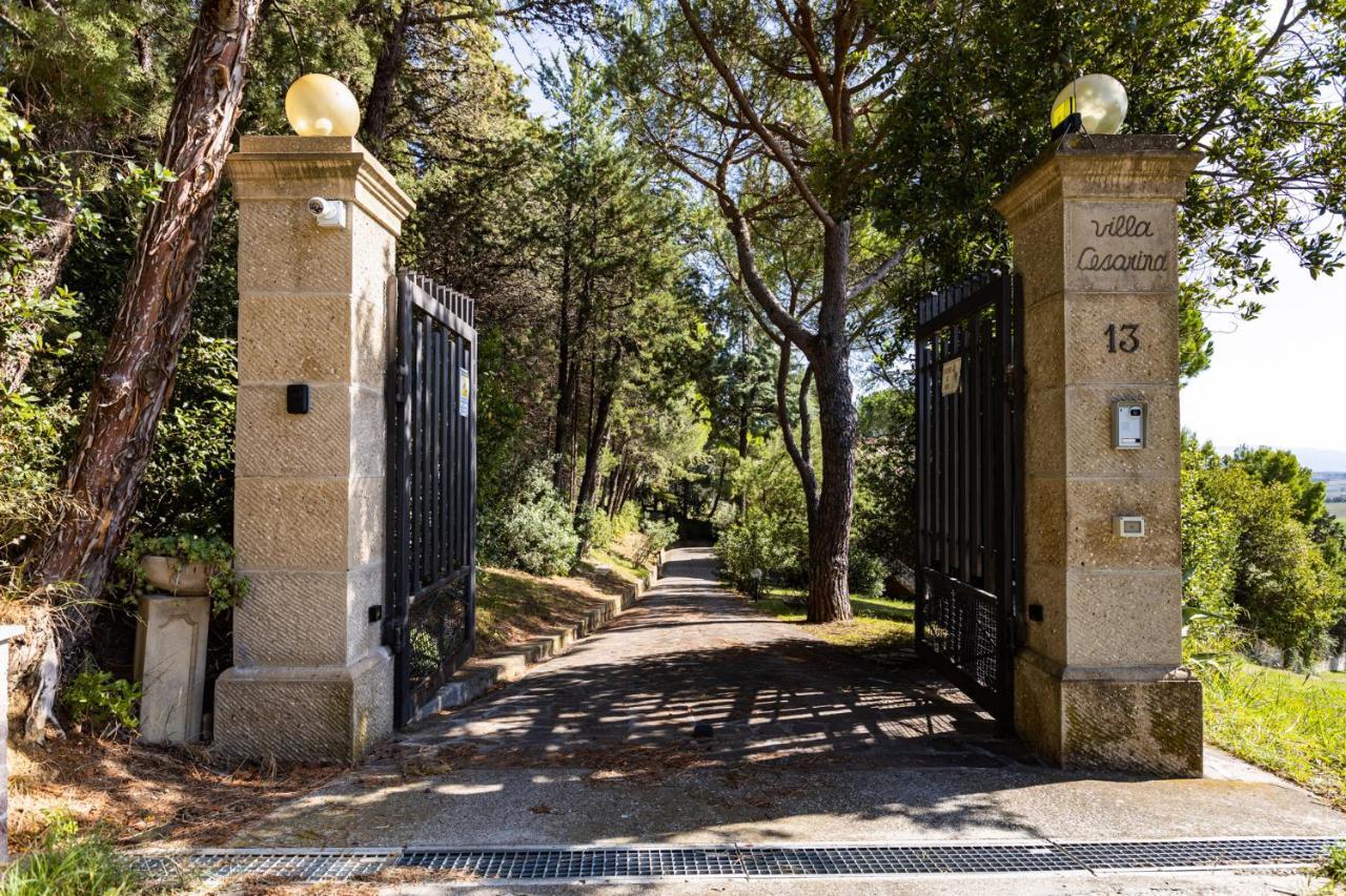 كاسال ماريتيمو Villa Cesarina Amazing Villa With Private Pool In The Tuscan Hills المظهر الخارجي الصورة